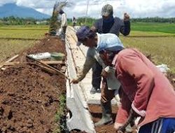 Irigasi Gunakan Sistem Panel Cetak, Ini Tanggapan Petani dan Tokoh Pemuda Desa