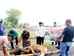 Polres Bulukumba Berqurban 17 Ekor di Hari Raya Idul Adha 1443 H