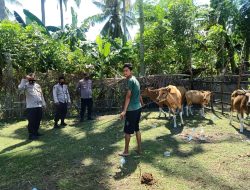 Cegah PMK, Kapolsek Ujung Bulu Turun Langsung Himbau Peternak