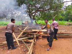 Polsek Bontotiro Bakar Arena Judi Sabung Ayam Di Desa Caramming