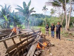 Polres Bulukumba Bongkar Lokasi Arena Sabung Ayam di Kajang.