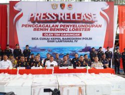 Bareskrim Polri Konfrensi Pers Terkait Penyelundupan Benih Lobster