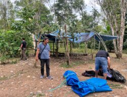 Polisi Bongkar Arena Sabung Ayam di Desa Tamaona Kindang