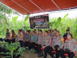 Kapolres Bulukumba Ikuti Zoom Meeting Panen Jagung Serentak, Dukung Ketahanan Pangan