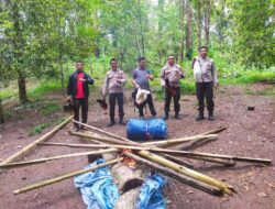 Grebek Sabung Ayam di Bulukumpa, Polisi Bakar Arena dan Amankan Ayam Aduan