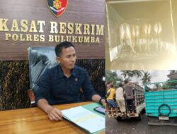 Polres Bulukumba Ungkap Kasus Curnak, 11 Ekor Sapi Curian Diamankan di Sinjai