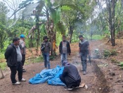 Judi Sabung Ayam Berkedok Hajatan di Bulukumba Digrebek Polisi