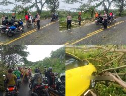 Evakuasi Pohon Tumbang dengan Cepat, Polres Bulukumba Bersama BPBD Imbau Pengendara Waspada