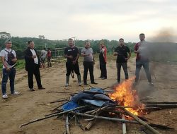 Operasi Judi, Polsek Bulukumpa Bakar Arena Sabung Ayam di Bontomangiring