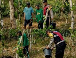 Dampak Kemarau, Bhabinkamtibmas Polres Bulukumba Bantu Warga Siram Tanaman Merica