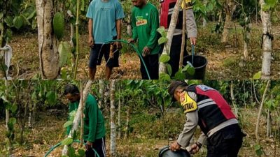 Dampak Kemarau, Bhabinkamtibmas Polres Bulukumba Bantu Warga Siram Tanaman Merica